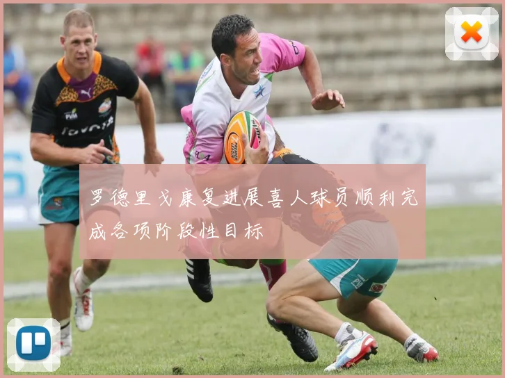 罗德里戈康复进展喜人球员顺利完成各项阶段性目标