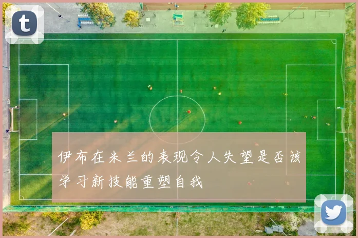 伊布在米兰的表现令人失望是否该学习新技能重塑自我